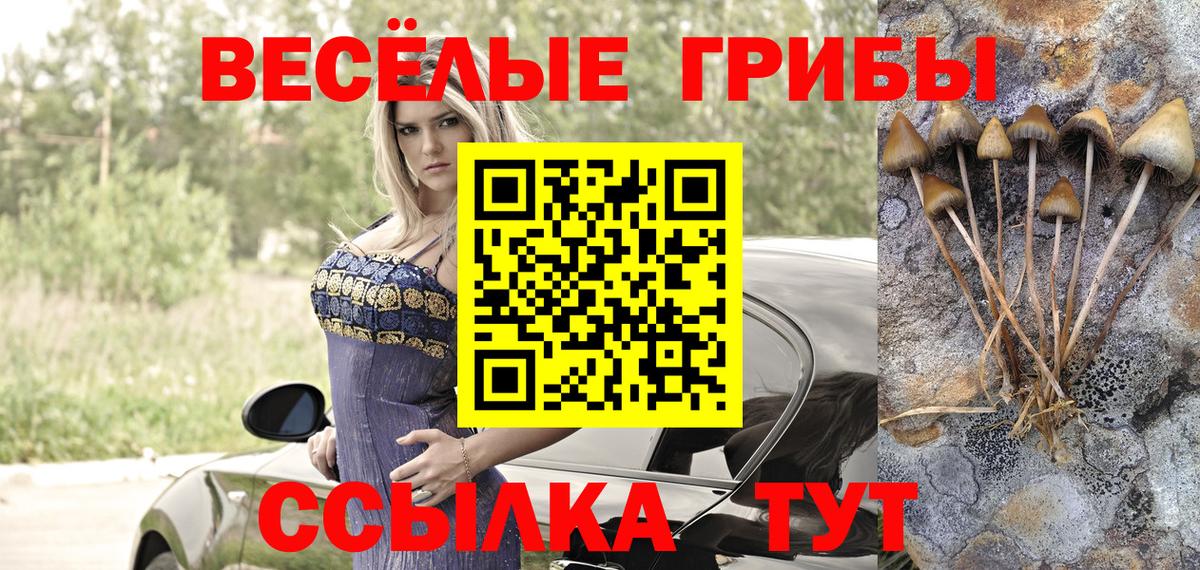 Галлюциногенные грибы GOLDEN TEACHER  Псилоцибиновые грибы Psilocybine cubensis  Вход с VPN  Одинцово 